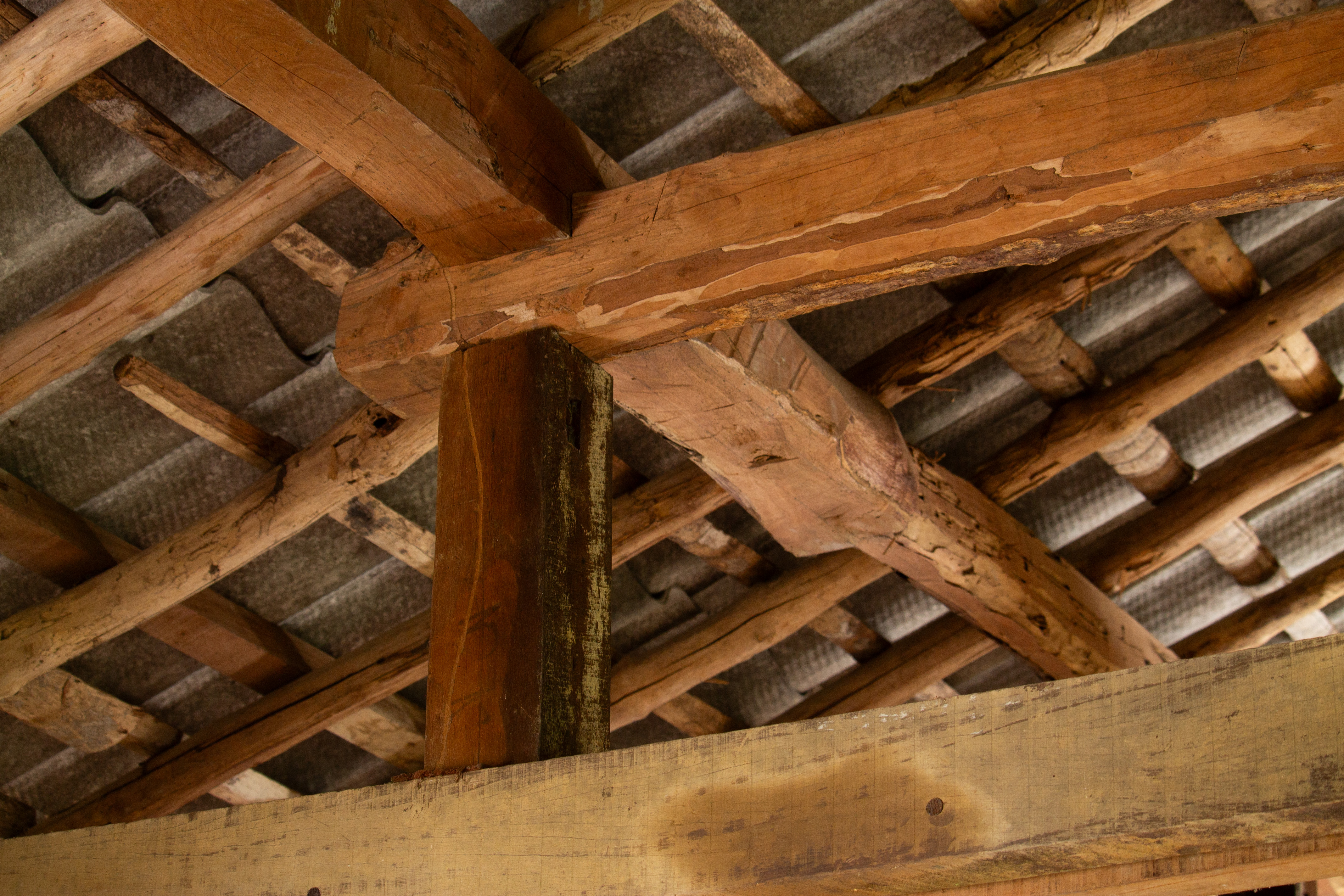 Japanese roof truss, Brazil, EWAP1018SG-STA-0004 (c) Akemi Hijoka